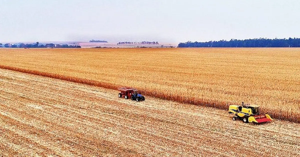 Mato Grosso do Sul foi o terceiro estado do Brasil que mais gerou vagas no agronegócio