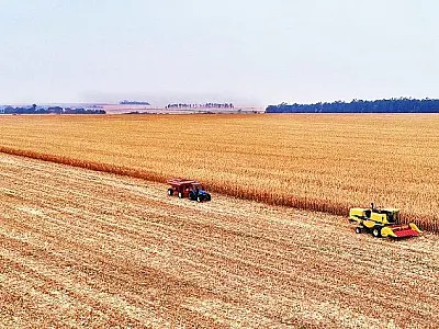 Mato Grosso do Sul foi o terceiro estado do Brasil que mais gerou vagas no agronegócio