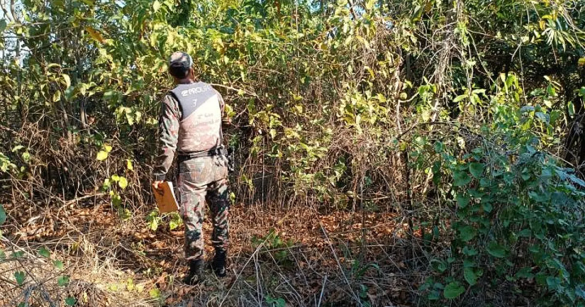 Ação integrada apura causas e onde iniciaram os incêndios no Pantanal