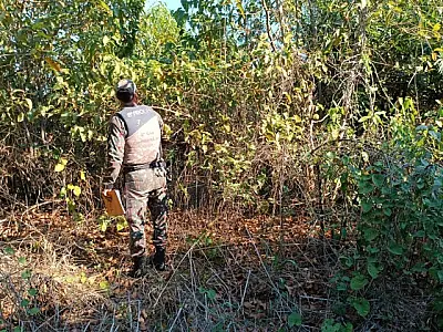 Ação integrada apura causas e onde iniciaram os incêndios no Pantanal