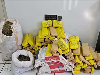 Traficante é preso em flagrante com carregamento de maconha e skunk