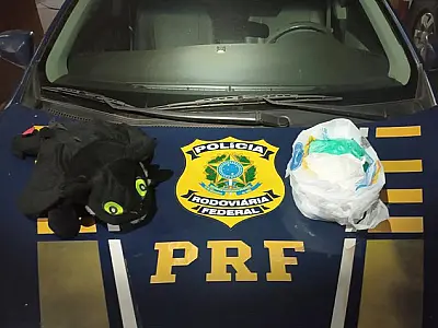 Boliviano é preso com cocaína em ursinho de pelúcia