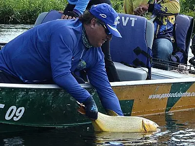 Pesque e solte está liberado somente nas calhas dos rios Paraguai e Paraná