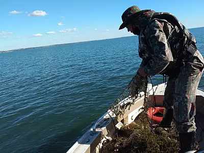 PMA intensifica fiscalização contra a pesca predatória no Carnaval