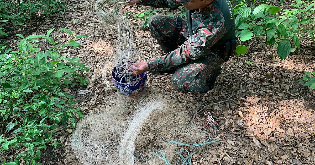 PMA desmonta acampamento com arma de caça, munições e petrechos proibidos