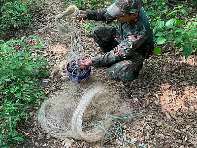PMA desmonta acampamento com arma de caça, munições e petrechos proibidos
