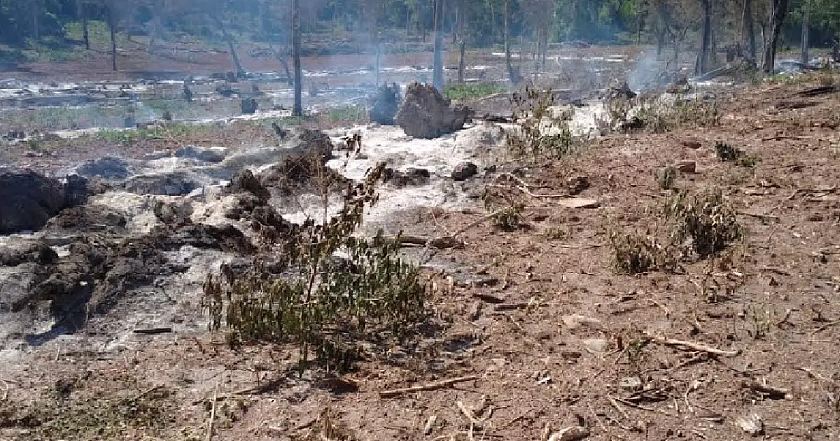 Homem é multado em R$ 6 mil por incêndio em vegetação