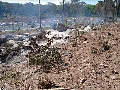 Homem é multado em R$ 6 mil por incêndio em vegetação