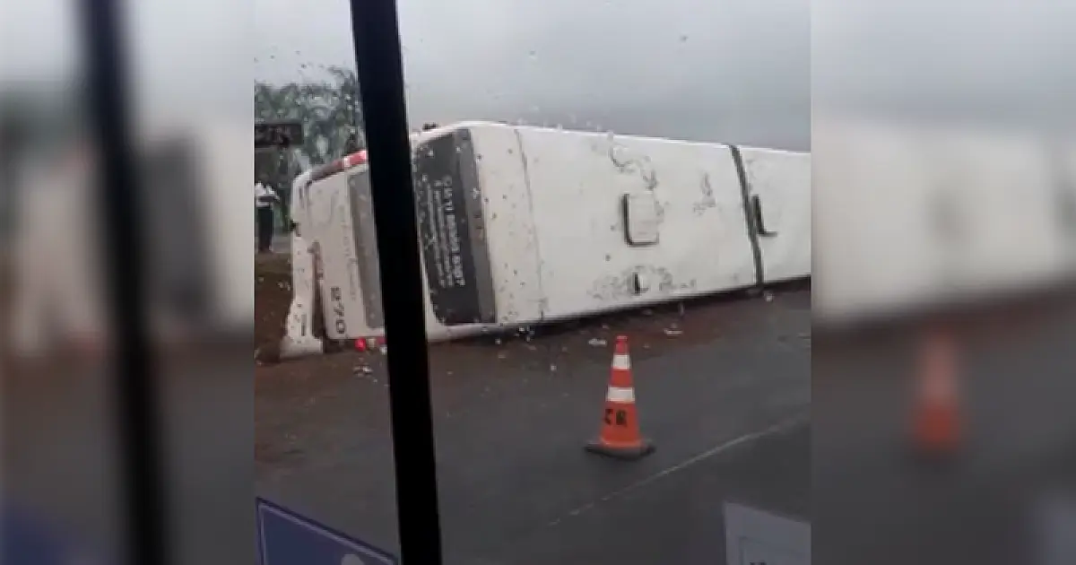 Seis pessoas ficam feridas em acidente de ônibus na rodovia