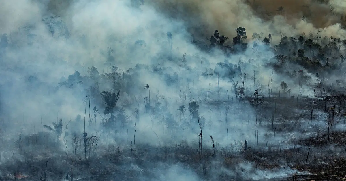 Incêndios florestais atingem 17 milhões de hectares de floresta amazônica por ano