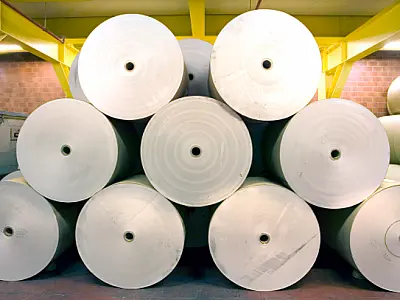 Exportação de industrializados alcança melhor resultado para o mês de julho