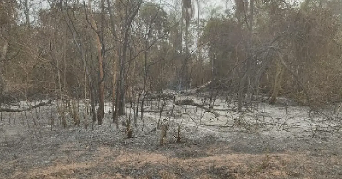 Fazendeiro é multado em R$ 2 mil por incendiar vegetação