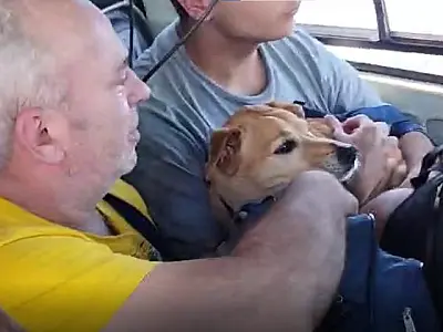 Crianças, idosos e até cão caramelo são resgatados em helicóptero de MS