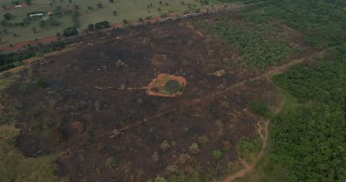 PMA multa homem em R$ 15 mil por queima em área agropastoril na BR 262