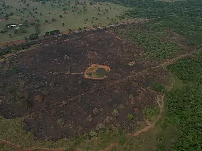 PMA multa homem em R$ 15 mil por queima em área agropastoril na BR 262