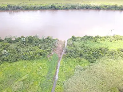 Empresa de São Paulo é multada em R$ 13 mil por degradação de matas ciliares no rio Ivinhema
