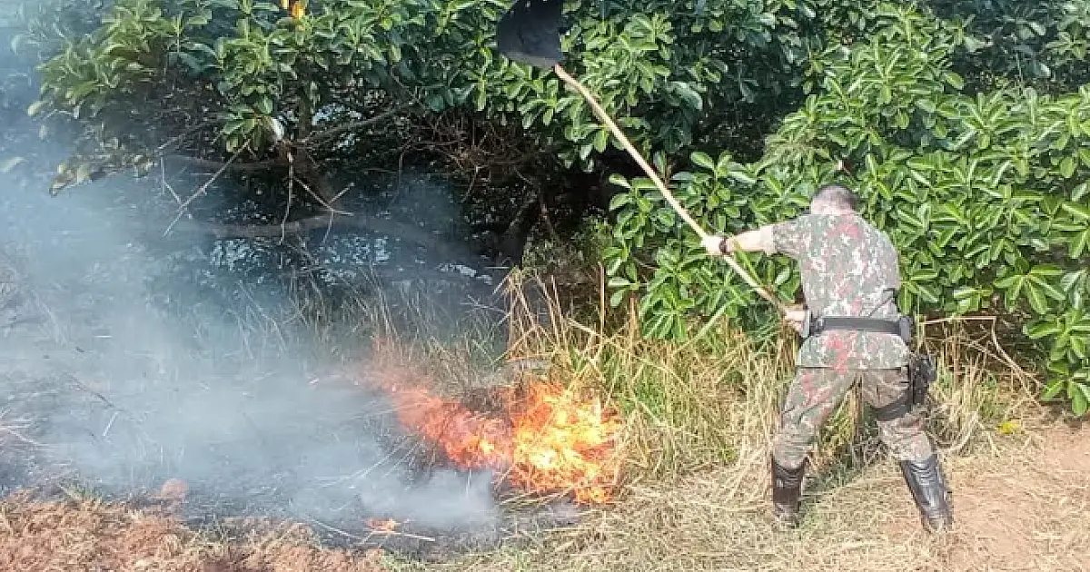 Trabalhadores, PMA e Bombeiros se unem para extinguir incêndio que ameaçava reservas nativas