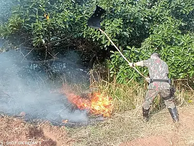 Trabalhadores, PMA e Bombeiros se unem para extinguir incêndio que ameaçava reservas nativas