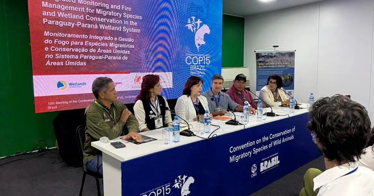 Ciência e saber tradicional se unem no combate ao fogo no Pantanal