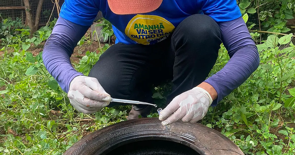 Dia D contra a dengue convoca população a eliminar focos do mosquito