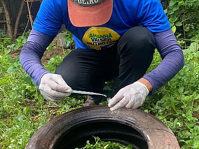 Dia D contra a dengue convoca população a eliminar focos do mosquito