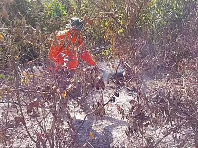 Brigada Alto Pantanal inicia combate a incêndios próximos ao Amolar