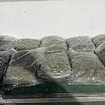 Maior ofensiva contra maconha é lançada na fronteira