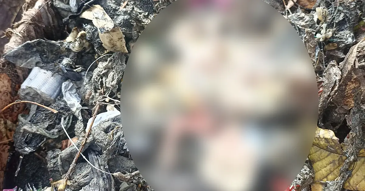 Feto é encontrado em esgoto da rua Emília Alves em Ladário