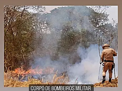 Ministério do Meio Ambiente reforça medidas de combate à queimadas