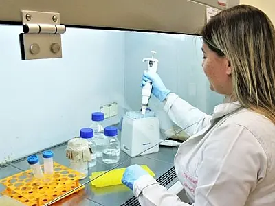 MS se destaca como um dos estados que mais investe em bolsas de doutorado no Brasil