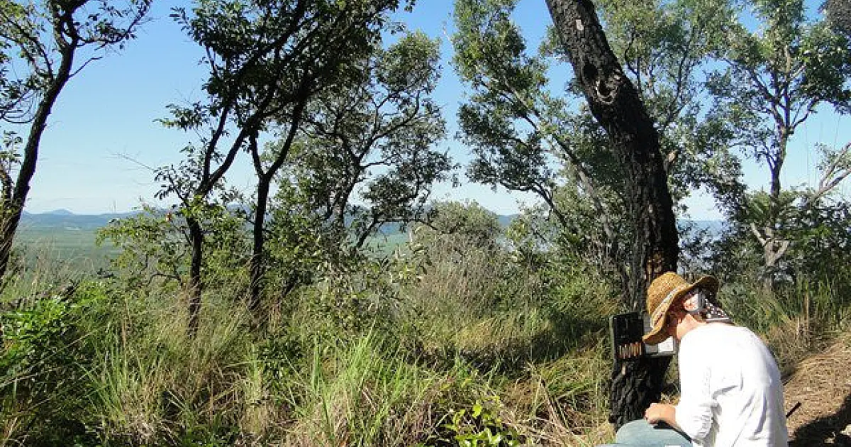 Evolução tecnológica é aliada no monitoramento das onças-pintadas no Pantanal