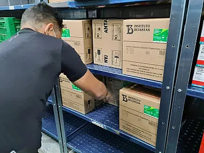MS recebe primeira remessa com 88 mil doses de vacina contra a Influenza