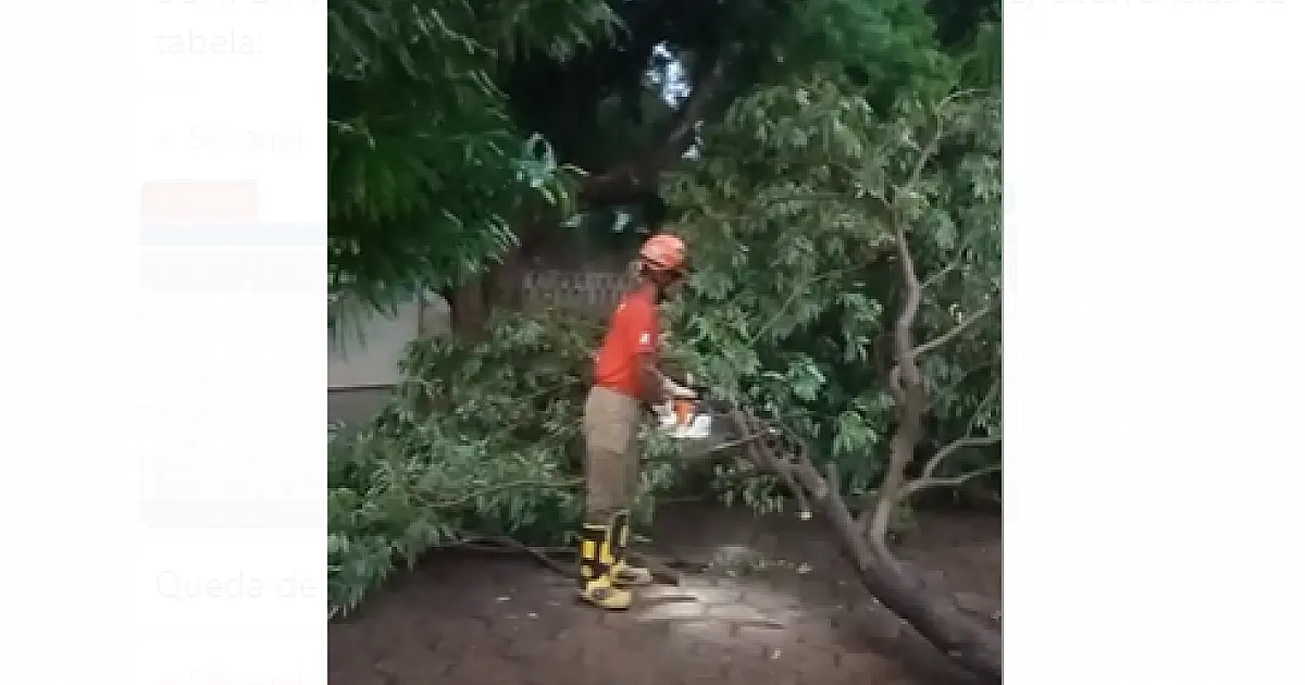 Plantão dos Bombeiros têm casas alagadas e quedas de árvore decorrente da chuva