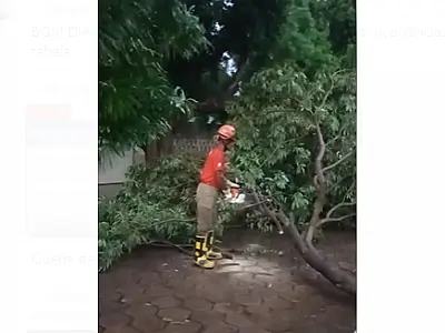 Plantão dos Bombeiros têm casas alagadas e quedas de árvore decorrente da chuva