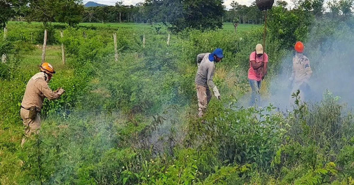 Trabalho conjunto entre Bombeiros e Sebrae/MS forma novas brigadas de incêndio no Pantanal