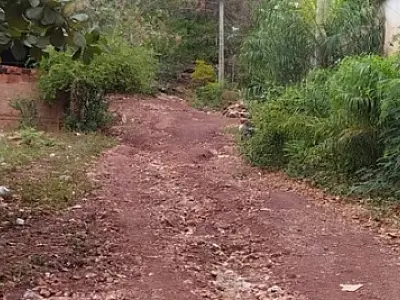 Vereador atende moradores e pede pavimentação de alameda no Bairro Popular Velha