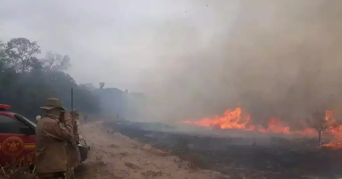 Bombeiros entram em alerta para atuar contra incêndios no Pantanal