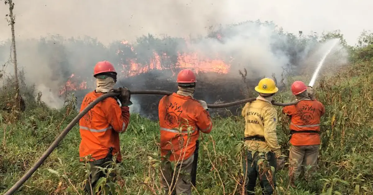Brigada Alto Pantanal lança campanha #PantanalResiste