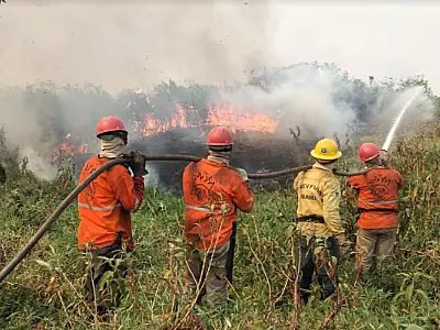 Brigada Alto Pantanal lança campanha #PantanalResiste