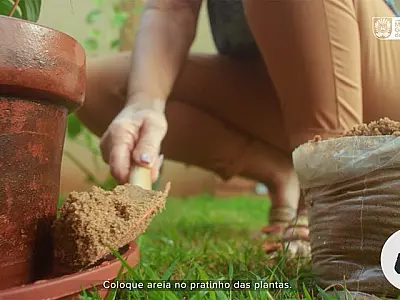 Saúde orienta sobre cuidados para evitar dengue, zika e chikungunya