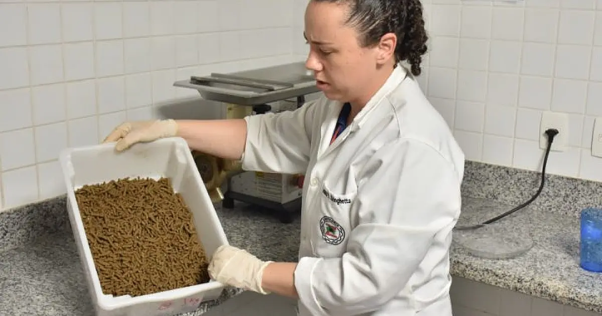 Ração e petiscos para peixes é preparada em cozinha do Bioparque Pantanal