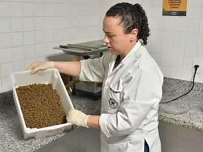 Ração e petiscos para peixes é preparada em cozinha do Bioparque Pantanal