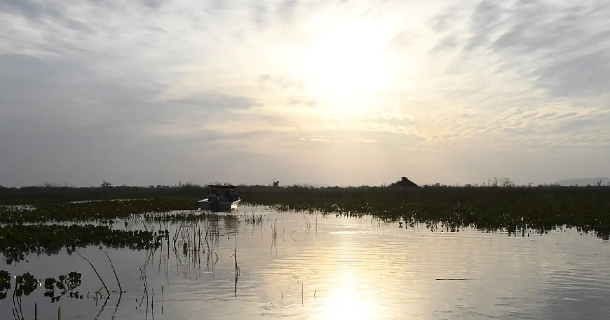 Agência Nacional de Águas alerta agravamento da seca na bacia do Pantanal
