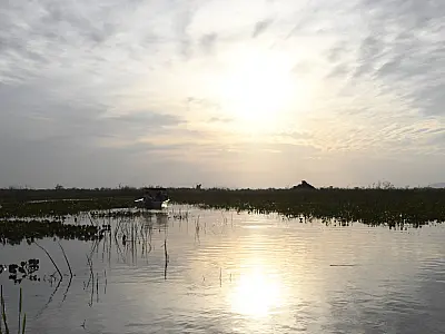 Agência Nacional de Águas alerta agravamento da seca na bacia do Pantanal