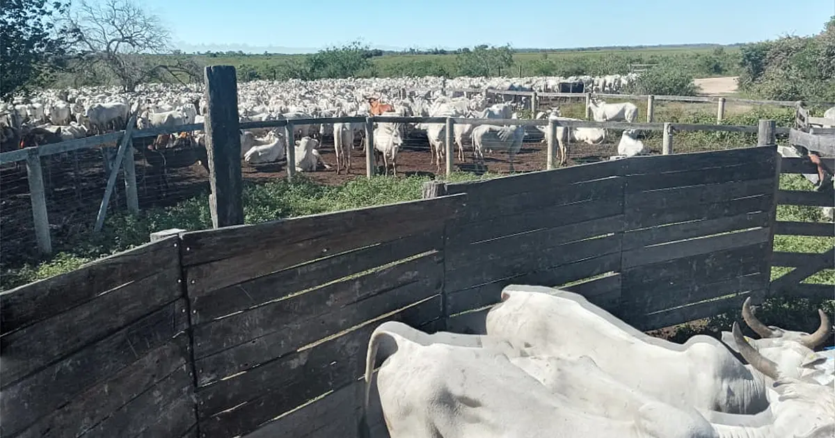 Publicado edital de licitação da estrada que vai atender produtores do Paiaguás