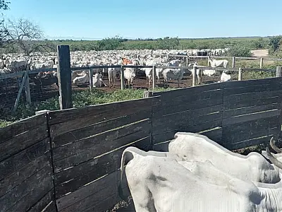 Publicado edital de licitação da estrada que vai atender produtores do Paiaguás