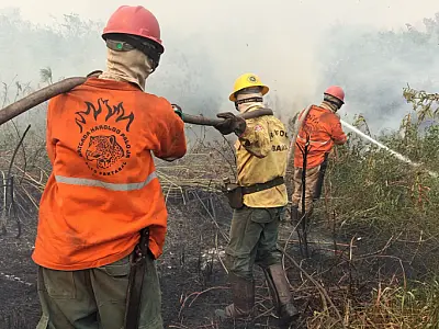 Brigadas Voluntárias do Pantanal concorrem ao Prêmio Faz a Diferença 2025