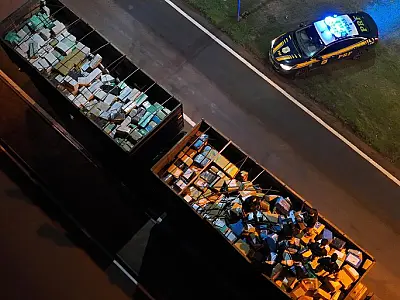 Apreensão de 28 toneladas de maconha em MS é a maior do ano