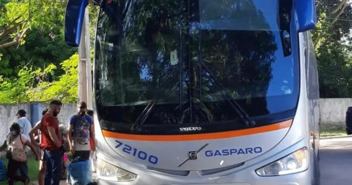Imigrantes, ônibus e van são apreendidos pela Polícia Federal