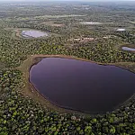 Governo de MS seleciona empresa para vender créditos de carbono